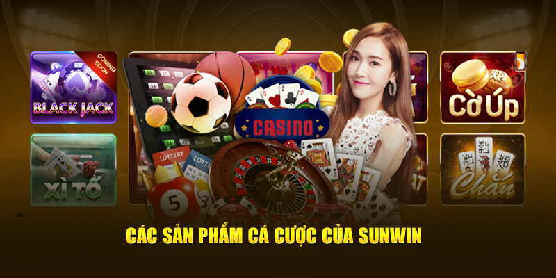 Các sản phẩm Sunwin cung cấp